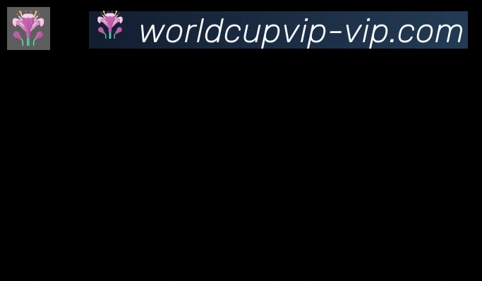 2026世界杯赛程官方网站合作伙伴