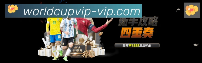 登录器